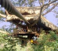 Canopy Tree House Canopy Tree House